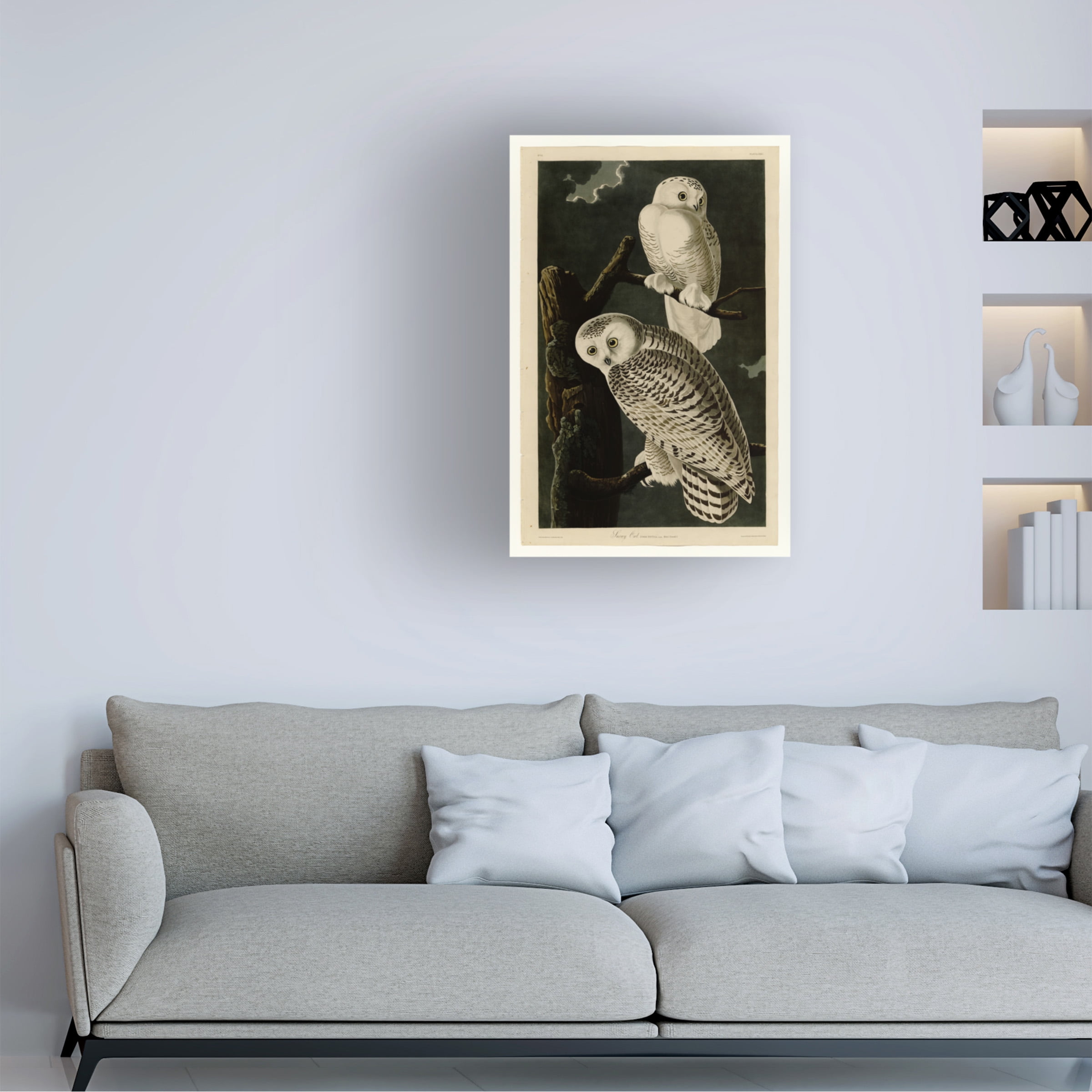 John James Audubon 'Snowy Owl' Canvas Art