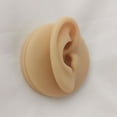 thumbnail image 3 of Youkk Silicone Ear Model Simulation Tool Ear Display Three-Dimensional for Teaching Instruction Left Ear/Rack, 3 of 6