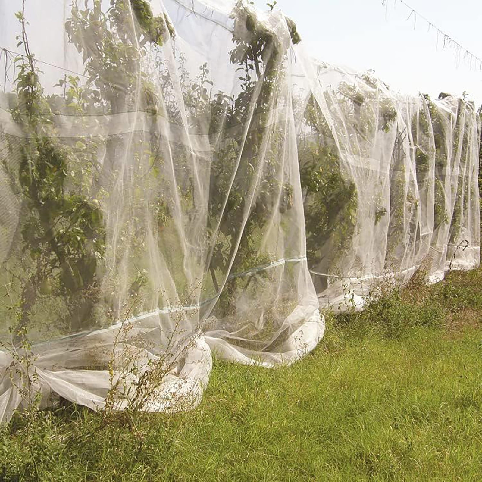 10x50Ft Garden Netting Barrier - Ultra Fine Mesh Covers for Vegetables, Fruits, Flowers - Bird & Pest Protection Net for Raised Beds, Greenhouse, Row Crops - Lightweight & Durable