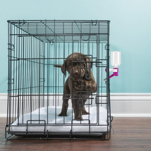 Dog clearance crate waterer