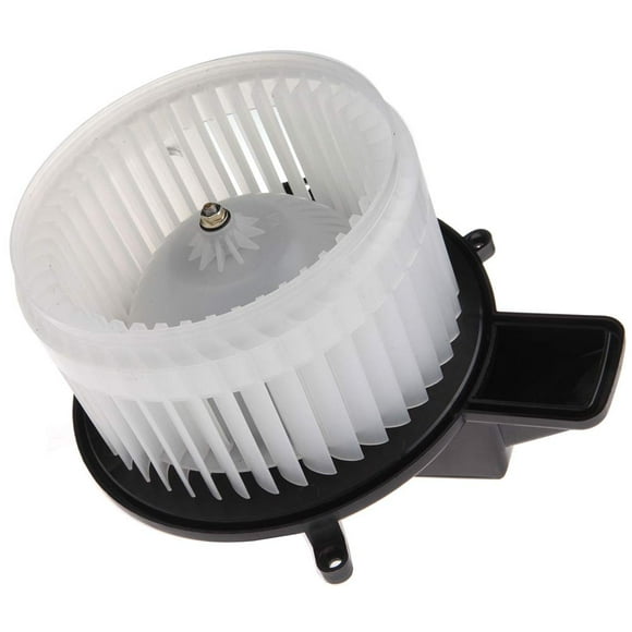 ROADFAR 68029719AB Moteur de Souffleur de Chauffage et Climatisation avec Cage pour 2011-2017 pour Dodge Durango 2008-2017 pour Dodge Grand Caravan 2011-2017 pour Jeep Grand Cherokee