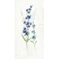 thumbnail image 2 of Nan 9x14 White Modern Wood Framed Museum Art Print Titled - Fresh Cut Lavender I, 2 of 4