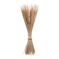 thumbnail image 1 of Vickerman H7RES000 24 in. Reed Spadix Pencil Botanicals, Natural - 150 Piece, 1 of 1