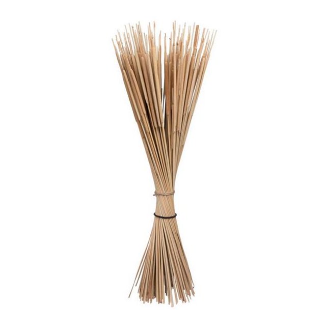 Vickerman H7RES000 24 in. Reed Spadix Pencil Botanicals, Natural - 150 Piece