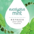 thumbnail image 6 of Armor All Essential Blends Car Air Freshener Vent Clip – Eucalyptus Mint (0.08 Fluid Ounces), 6 of 6