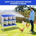 thumbnail image 4 of Galvanized Steel Chicken Nesting Box - 6 Compartments, Two-Tier Laying Box with Vented Holes, Wall Mountable, Blue, 6 Slots ZW, 4 of 7