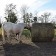 thumbnail image 2 of Tough1 Deluxe Round Bale Slow Feed Hay Net, 2 of 2