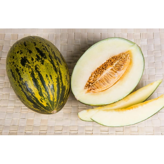 50 Seeds PIEL de SAPO MELON Santa Claus Christmas Melon Green Yellow Cucumis Melo Fruit Seeds