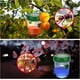 thumbnail image 4 of Trampa para avispas con energía solar de 2 piezas con luz LED, trampas para insectos, trampa para insectos, trampa para miel, abejas, avispones, mosquitos, Drosophila para jardín interior y, 4 of 5
