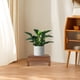thumbnail image 5 of Base de madera para maceta, soporte para maceta, soporte para maceta, soporte para maceta, 5 of 8