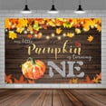 thumbnail image 5 of Fall Maple Leaf Background Pumpkin First Birthday Party Backdrop Wood Light Photography Backdrop Baby Shower Birthday Decoration,5X3FT, 5 of 5