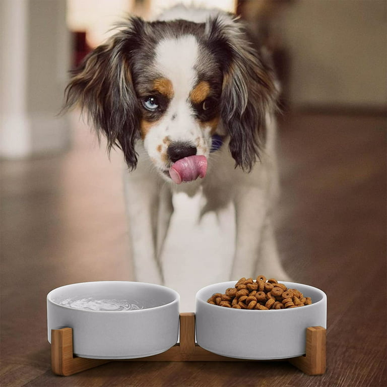 Dog Bowls,Black Ceramic Cat Dog Bowl Set with Wood Stand for Food and  Water,Non-Slip Weighted Cute Modern Pet Dishes Set for Cats & Small Dogs -  gray 