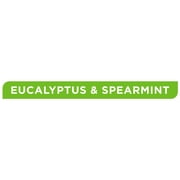 Equate Epsom Salt Soaking Solution, Eucalyptus and Spearmint, 7 lbs