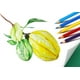 thumbnail image 5 of Lápices de colores SKKSTATIONERY, 50 unidades, estuche de lata, 50 colores vibrantes, 5 of 8