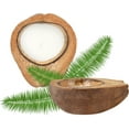 thumbnail image 1 of Restaurantware-Coco Casa 6.5 x 2.5 Inch Coconut Shell Candles, 10 Hand Poured Coconut Bowl Candles - Jasmine Fragrance, Double Wax Blend, Soy Wax Scented Candle, Wooden Wick,, 1 of 8