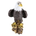 thumbnail image 6 of Ebros Gift American Pride National Emblem Bald Eagle Statue 16.5" H Figurine, 6 of 9