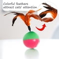 thumbnail image 3 of Feelers cat toy tumbler, feather Cat Toy for cat Kitten Indoor Exercise, cat Interactive Ball Toys, 3 PCS, 3 of 4