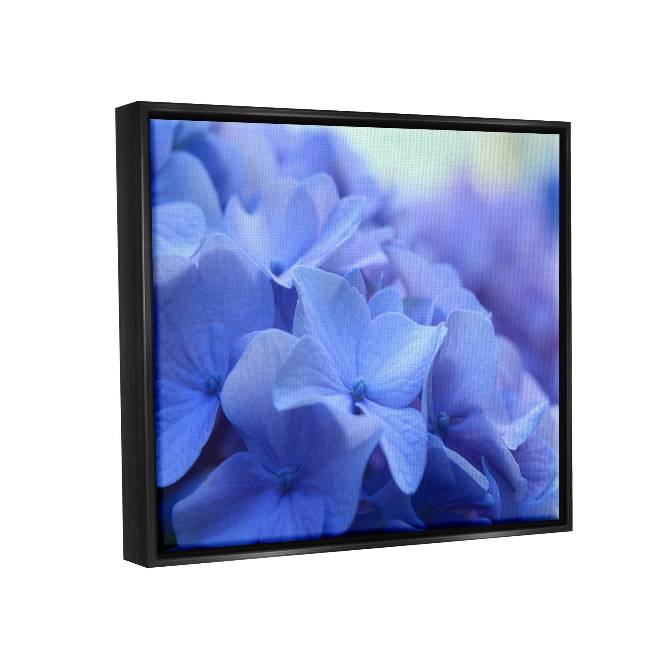 Detailed Hydrangea Close Up Petals Botanical & Floral Photograph Jet Black Framed Art Print Wall Art