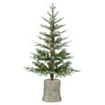 thumbnail image 2 of 3 ft. Pre Lit Clear UL Potted Natural Cut Lightly Frosted Pine Tree, 2 of 3