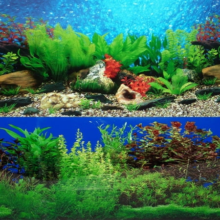 20 x 48 Fish Tank Background 2 Sided River Bed & Lake Background (Best Background Aquarium Plants)