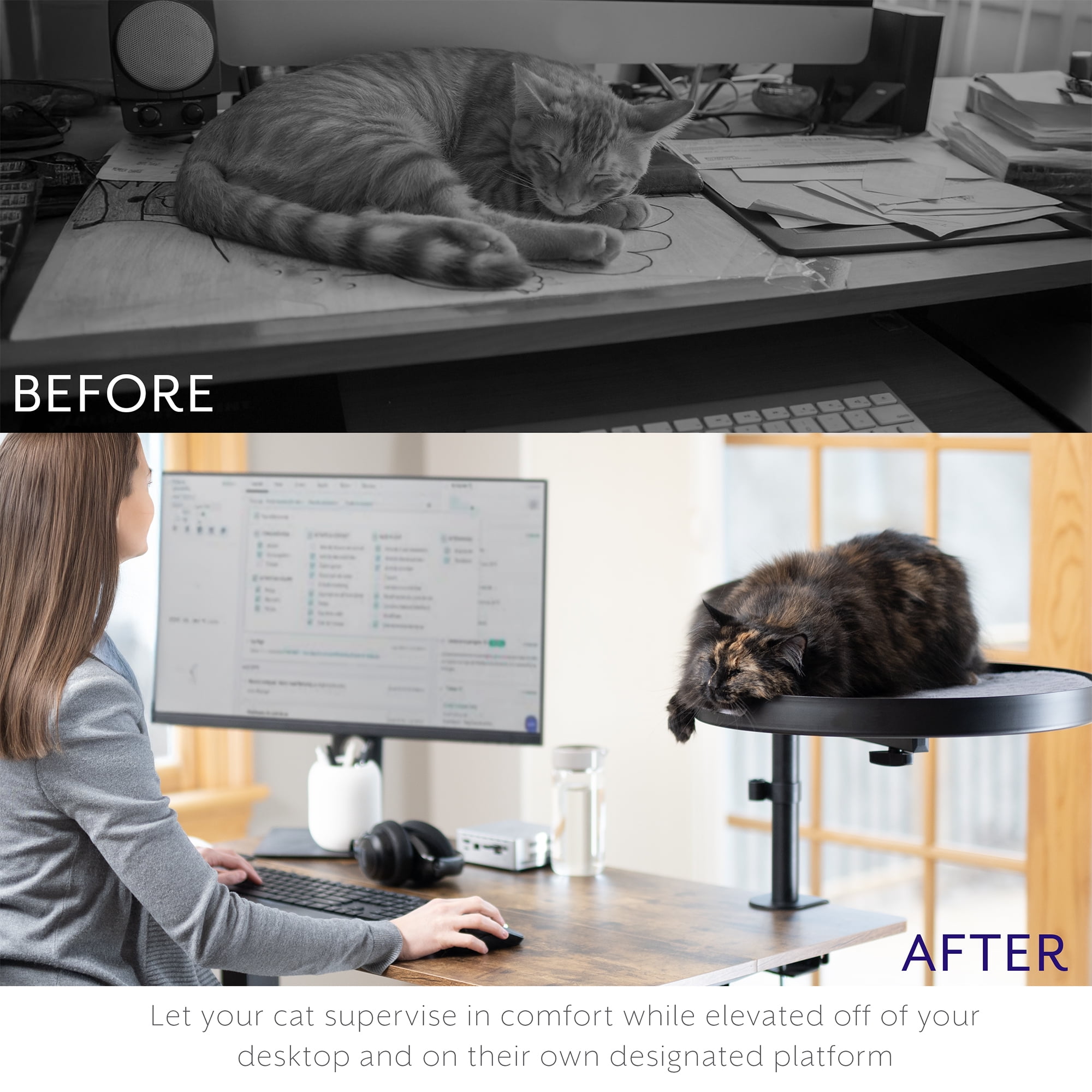 Life Finds Clamp-on Round Cat Bed for Home Office Desk