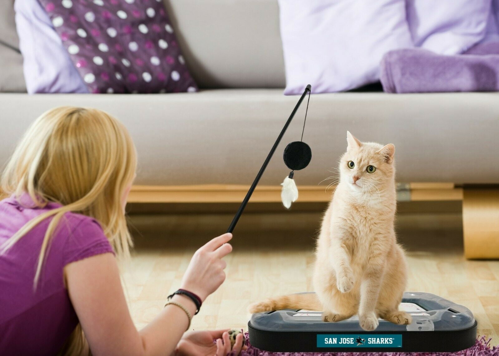 NHL San Jose Sharks CAT Scratcher Toy with Catnip Plush & Feather Cat Toy 5-in-1 Kitty Toy
