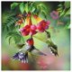 thumbnail image 1 of Cuadros Decorativos 5D bricolaje diamante pintura kits pájaros completo cuadrado taladro rhinestone resina artesanías Ndcxsfigh Nuevos Originales, 1 of 1