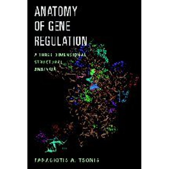 Anatomy of Gene Regulation: A Three-Dimensional Structural Analysis