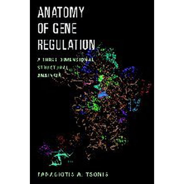 Anatomie de la Régulation Génique, une Analyse Structurale Tridimensionnelle