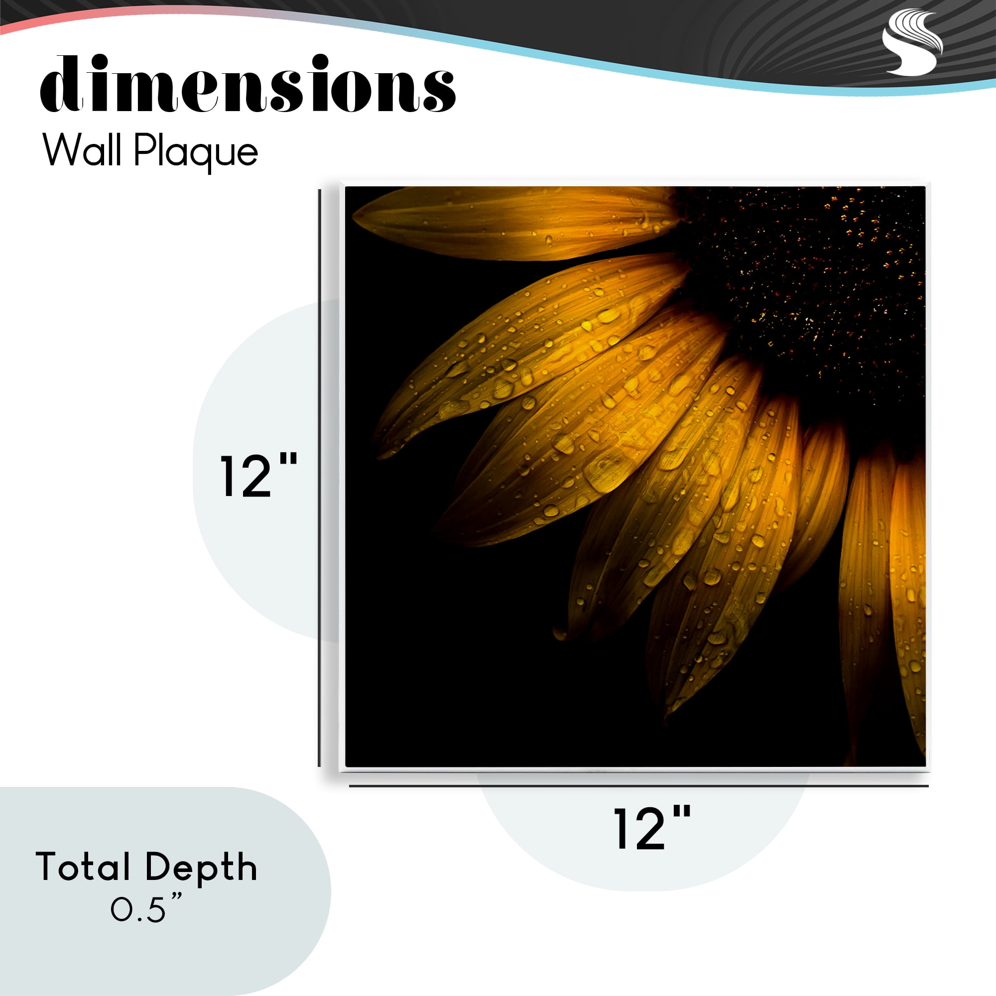 Sunflower Detail with Droplets Wall Plaque Art, design by Brian Carson Photography