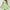 B133 Green Plus Size Summer Dresses Clearance Under $5, variant on Fashion Flash Deals Xqxayjr Casual Aline Swing Flowy Short Mini Sun Dress for Women Clearance Under $10 Summer Ruffle Sleeveless Graduation Dresses Striped V Neck Bohemian Black Church Dress