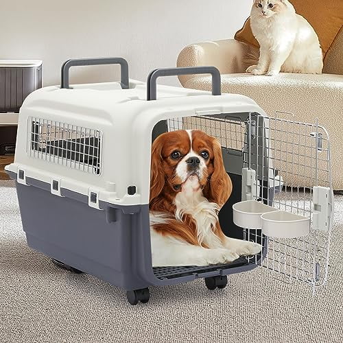 Hard sided dog carrier best sale