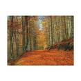 thumbnail image 2 of Path Through Red & Orange Autumn Park Nature Wilderness Photography Canvas Wall Art for Home Decor Ready-to-Hang, 2 of 18