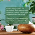 thumbnail image 6 of Organic Eucalyptus Oil for Hair, Skin, Undiluted Therapeutic Grade 1fl oz by Pure Body Naturals, 6 of 7