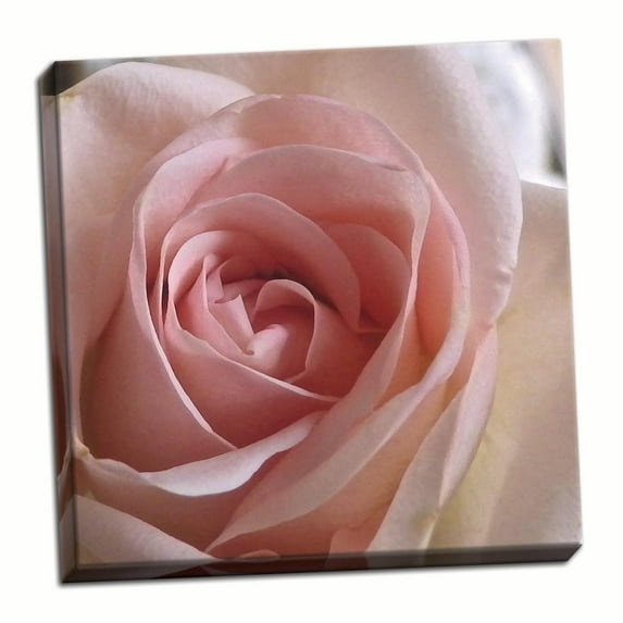 Gango Home Decor Contemporary Salmon Rose Close-Up by Monika Burkhart (Ready to Hang); One 16x16in Hand-Stretched Canvas