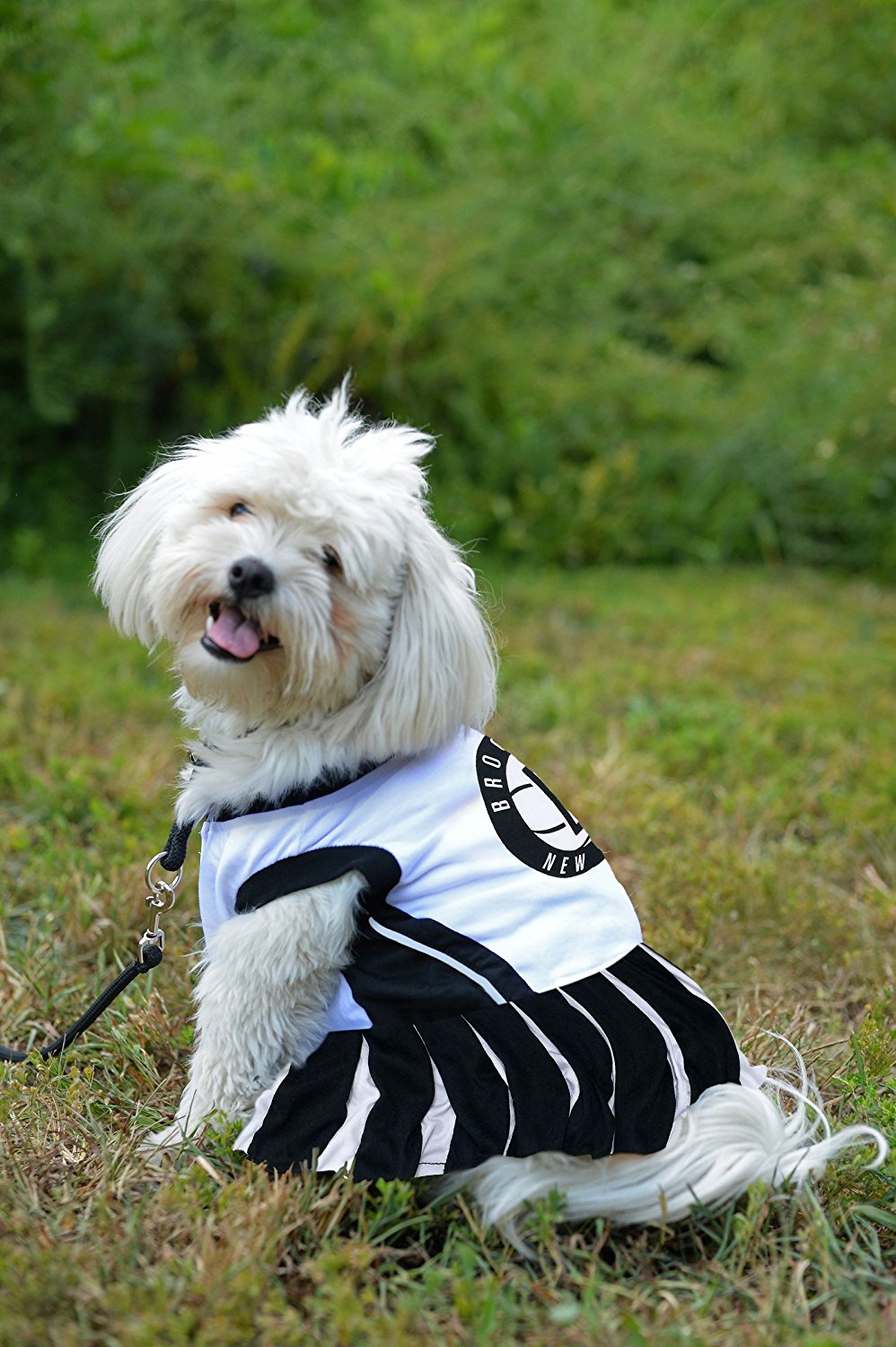 Brooklyn Nets Dog Cheerleader Outfit