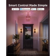 Govee E12 LED Candle Bulb, Smart Chandelier Light Bulbs for Living Room,2pack