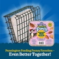 thumbnail image 3 of Pennington Feeding Frenzy EZFILL Suet Basket Bird Feeder for Suet Cakes for Wild Birds, Green, 2 x 5.25 x 5.25 Inches, 3 of 8