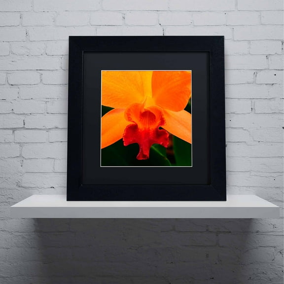 Trademark Fine Art "Brilliant Orchid on Fire" Canvas Art by Kurt Shaffer, Black Matte, Black Frame
