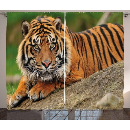 Beautiful Bedroom Set Tiger Curtains 2 Panels Set, Noble Beast Crouching on a Rock Sumatrian Large Cat Beautiful Nature Photography, Window Drapes for Living Room Bedroom, 108W X 84L Inches, Multicolor, by Ambesonne ()