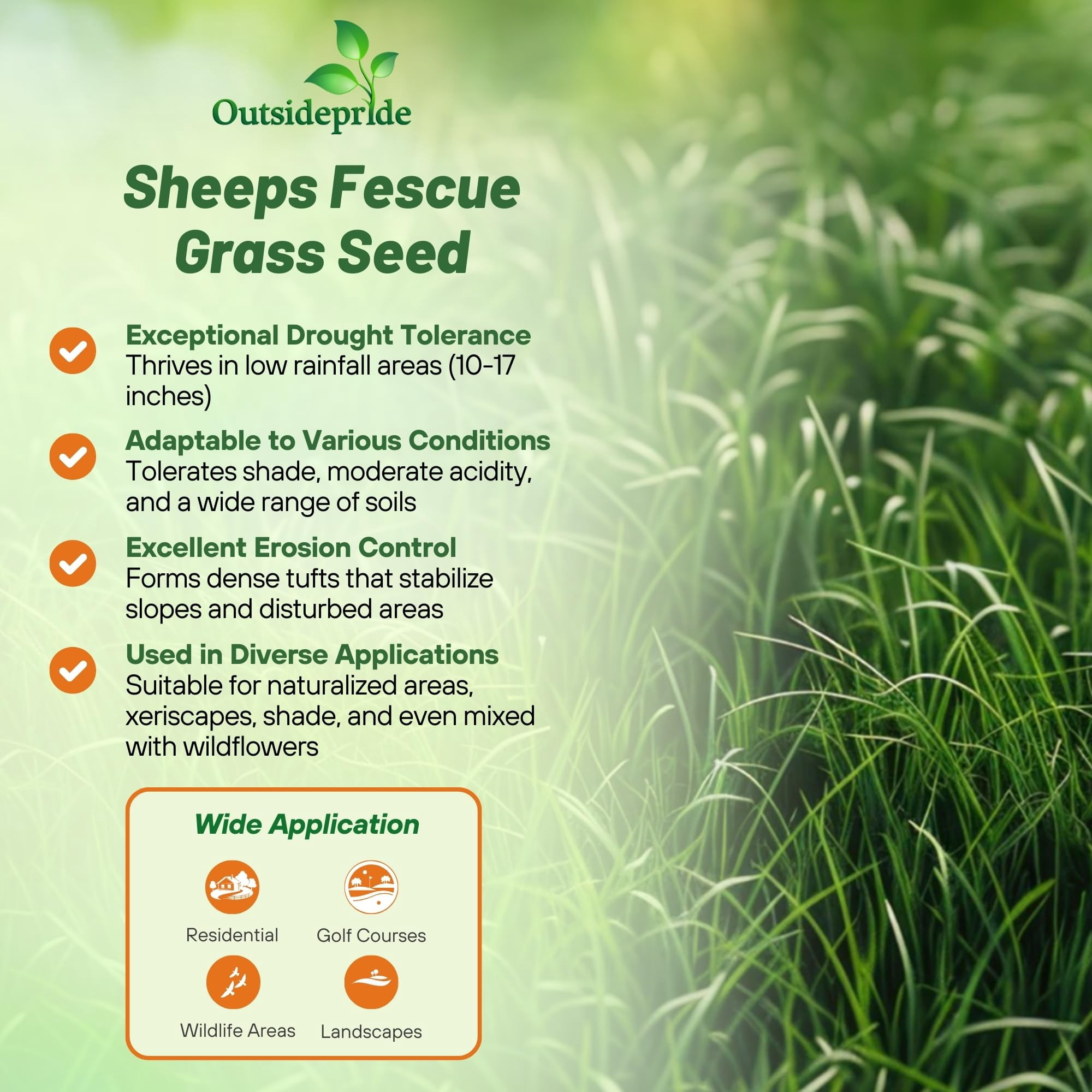 Outsidepride 10 lb. Perennial Drought Tolerant Sheeps Fine Fescue Lawn, Turf Grass Seed