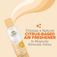 Citrus Magic Natural Odor Eliminating Air Freshener Spray, Orange Blast