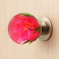 thumbnail image 2 of Unique Decorative Door Handle, Retro Round Resin Epoxy Flower Door Knob, Transparent Animal Crystal Pulls, Artistic Decorative Hardware for Bedroom, Living Room, Drawer, Cabinet (D), 2 of 6