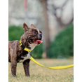 thumbnail image 3 of LAICAIW Double-Sided Reflective Dog Leash, 6 FT/5 FT/4 FT, Padded Handle Nylon Dogs Leashes for Small & Medium Dogs Walking, Yellow, 5FT, 3 of 6