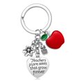 thumbnail image 1 of Cute Festive Touch Stainless Steel Pendant Keychain Beautiful Apples Decor Pendant Key Finder Teacher Appreciation Gift, 1 of 5