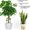 Green-One Size, variant on Hovmgk Plastic Plant Climbing Net, Flexible Mesh Support Netting for Garden, Tomato & Cucumber Vertical Growth, 6 Pcs, Ideal for Small Pot Plants & Vertical Gardening Solutions
