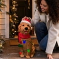 thumbnail image 4 of SPOORYYO Lighted Christmas Dog Decor Resin Statue with Santa Hat and Scarf, Multicolor LED String Lights Holiday Porch Yard Decoration, 4 of 7