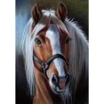 thumbnail image 1 of Pintura completa de diamantes, pintura de diamantes de animales de caballo hermoso, pintura de mosaico 5D DIY por número de punto de cruz Sailing Electrónica, 1 of 5