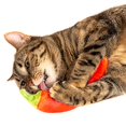 thumbnail image 2 of Silvervine Jumbo Chili Cuddle Toy, 2 of 3