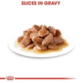 thumbnail image 2 of Alimento Húmedo Gato Adulto Weight Care 85g Royal Canin, 2 of 4